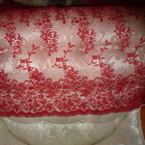 Plus Size Vintage Lace Button-Down Tunic Top –Estimated 22W–24W (2X) - Picture 7 of 8